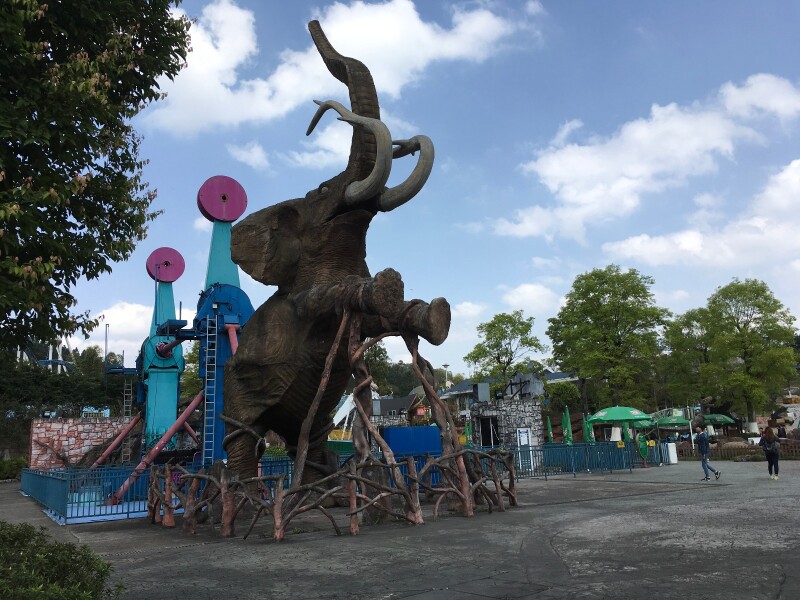 象鼻冲天,后来逛动物园的时候,走到步行区的时候,才想起问没看到大象