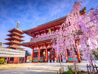 旅行团日本旅游_日本旅游不跟团_去日本7天游