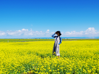 去青海旅游网站_青海七日游_青海跟团游旅游