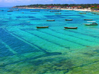 国外海边钓鱼 Cii9EVanGqmIX522AAKqDhImDdMAABotgJnfm8AAqom152_w320_h240_c1_t0.jpg