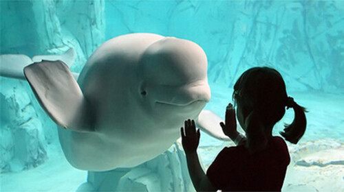 [国庆] 西班牙+葡萄牙13日游 一价全含,联运,畅