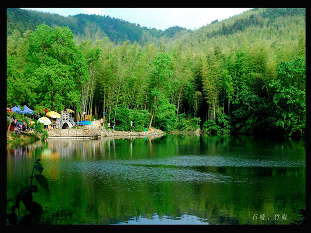  宏村-西递-徽州紫霞山庄-木坑竹海-水上古徽道新安江