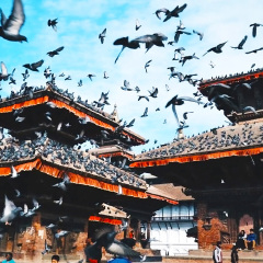 景点模块 