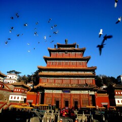 景点模块 