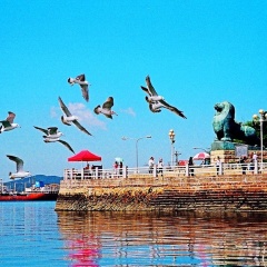 景点模块 