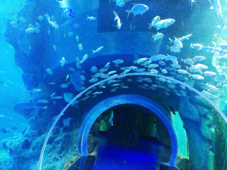 青島最佳旅游路線_青島旅游跟團(tuán)需多少錢_去青島旅游