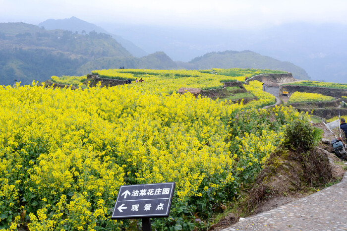 这里需要吐槽一下,虽然之前调查了很多资料,也问了当地的朋友,说这班车每天会跑两趟,在早上9点和下午1点的时候会开往小舟山,但是当我8:50找到班车的时候,司机没在车里,打了贴在窗户上的司机号码(1396708881)询问了之后, 说只有下午1点的车,此时的我有点懵了,因为如果坐下午1点的车,班车是开到小舟山就立马下山的,也就是在14点下山,所以根本就没时间去景区。 那个时候看到还有一个老人也准备去小舟山,就尝试要不打个滴滴快车打上去,没想到意外的打到了,于是三个人拼车上了山,车费45。经历这个事之后,给大