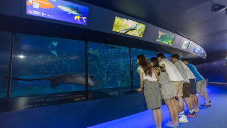 七月去香港海洋公园旅游必备物品?带什么东西?