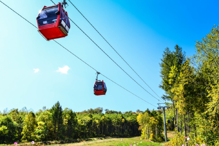 尊享儿童主题房 免费畅玩BOOMi乐园 送1例双人下午茶及晚餐