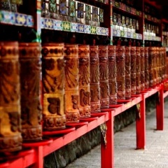 景点模块 