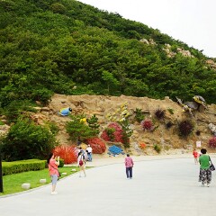 景点模块 