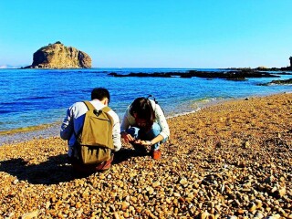 去東北沈陽(yáng)旅游多少錢(qián)_東北沈陽(yáng)自由行還是跟團(tuán)好_國(guó)慶東北沈陽(yáng)游價(jià)格
