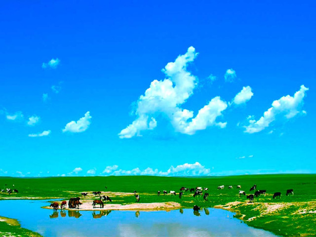 达赉湖生物圈保护区位于内蒙古呼伦贝尔草原西部,隶属满洲里市,总面积