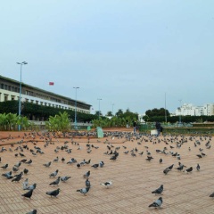 景点模块 