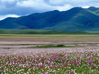 西藏旅游報價_西藏旅游多少錢_西藏游組團