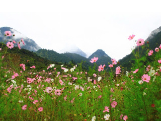 西藏旅游報價_西藏旅游多少錢_西藏游組團