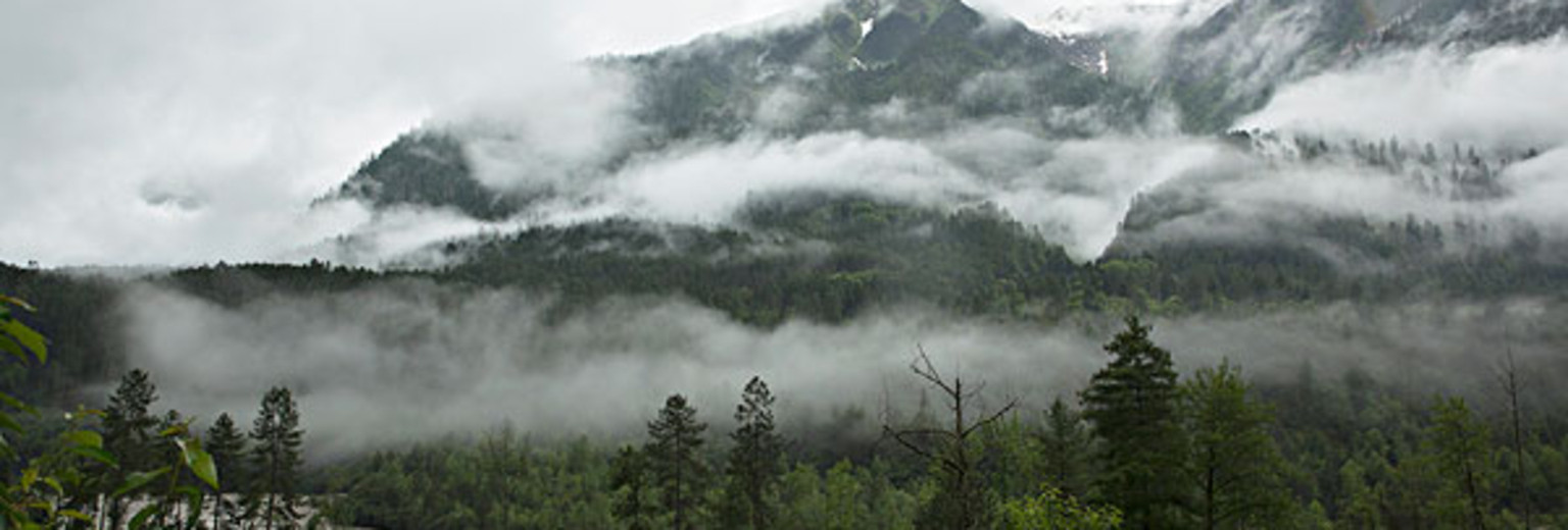 飞龙山旅游攻略