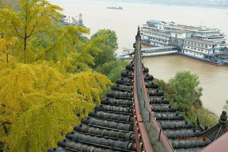 晴川历历汉阳树,芳草萋萋鹦鹉洲