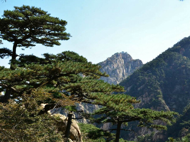 曲阜-孔庙-孔府-孔林-泰山2日游体验会当凌,一览众山小的雄伟