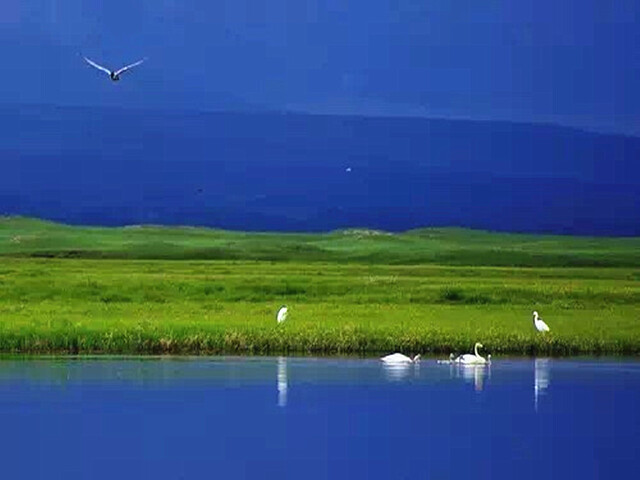 <新疆伊犁河谷那拉提大草原+赛里木湖+巴音布鲁克+天山天池+吐鲁番8日游