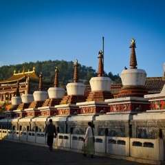景点模块 