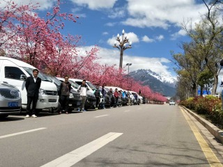 西双版纳旅游团观光_出发西双版纳旅游_西双版纳几日游最好