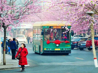 內蒙古旅游最佳路線_內蒙古旅游報價_內蒙古半自助游