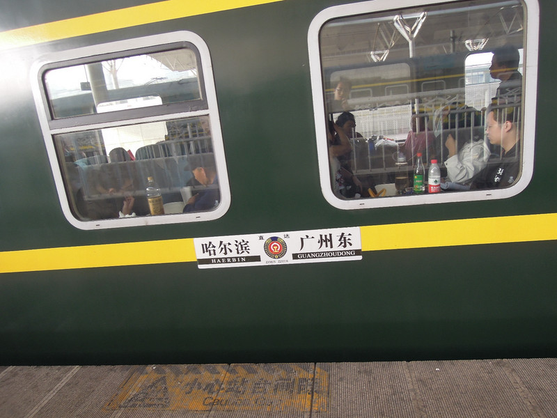 z238列车,哈尔滨直达广州东.
