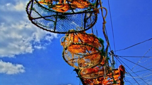 纯嵊泗列岛3日游 品味东方小希腊,感受海边慢