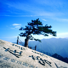 景点模块 
