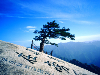 西安兵馬俑旅游花費一般多少_特價西安兵馬俑游_跟團西安兵馬俑旅游價格表