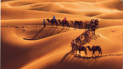 6日游 贺兰山三关口明长城遗址,贺兰山广宗寺