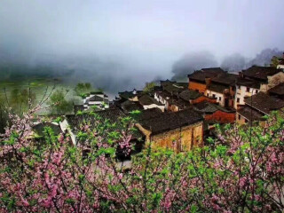 旅游團廬山_廬山私人定制旅游_廬山報團旅游多少錢