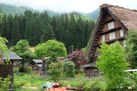 <日本本州双古都8日游>11月赏枫预售太原起止，山西地区成团，童话白川乡，富士山风景区，奈良神鹿公园，镰仓江之岛电铁体验，东京大阪商圈