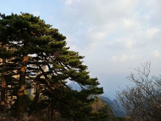黃山旅游團(tuán)_去黃山游怎么省錢_到黃山旅游多少錢