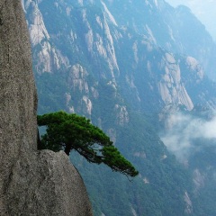 景点模块 