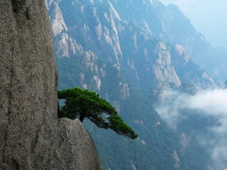 黃山旅游團(tuán)_去黃山游怎么省錢_到黃山旅游多少錢