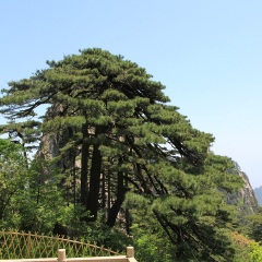 景点模块 