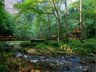 张家界旅游出国旅游_春节前去张家界旅游团_张家界8日旅游团