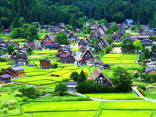 十一日本游_跟團(tuán)日本旅游價(jià)格表_去日本旅游多少錢