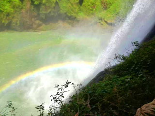 去貴州黃果樹旅游多少錢_深圳到貴州黃果樹旅游報價_貴州黃果樹自由行費用