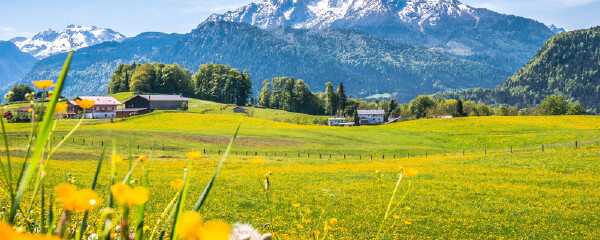 六月去德国穿衣指南_六月去德国穿什么衣服_