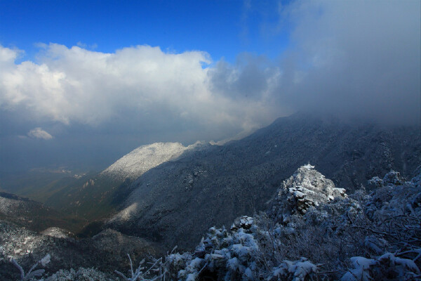 六月去庐山怎么样_六月去庐山好吗_六月去庐