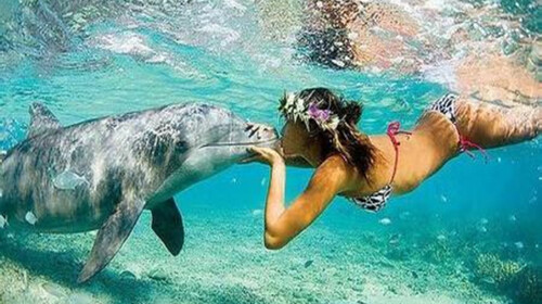 巴厘岛往返机票+当地5晚6日游 宁波直飞 海豚