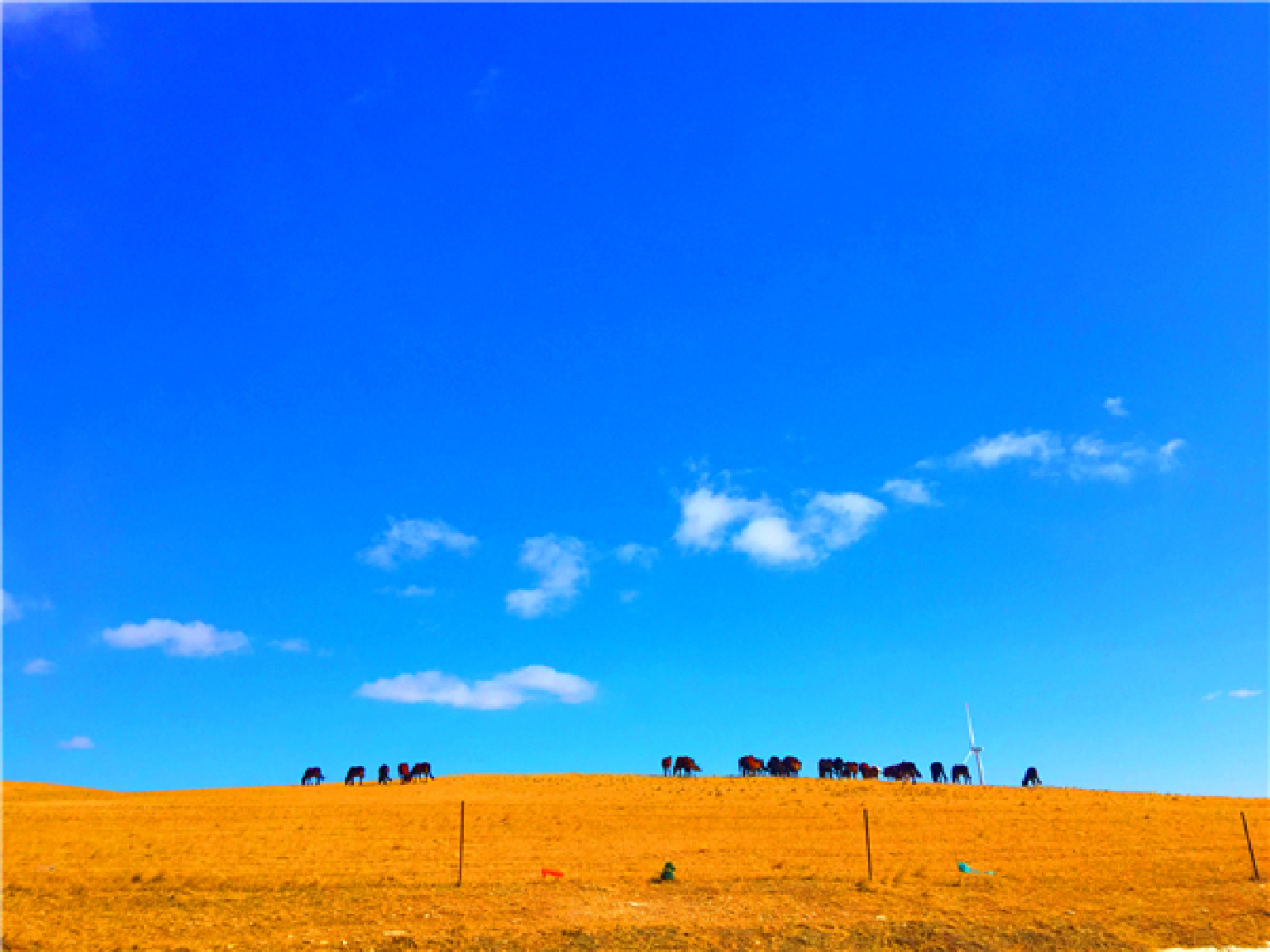草原之旅简谱_钟丽燕草原之旅简谱
