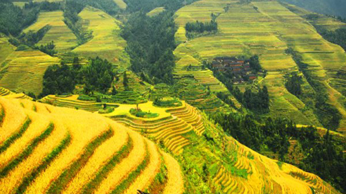 桂林-龙脊梯田-漓江-象鼻山-世外桃源-遇龙河-银