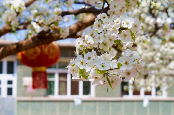 北京欢乐谷夜场有什么玩的_欢乐谷夜场项目_