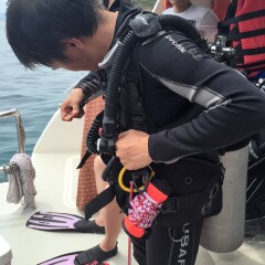 活动模块 