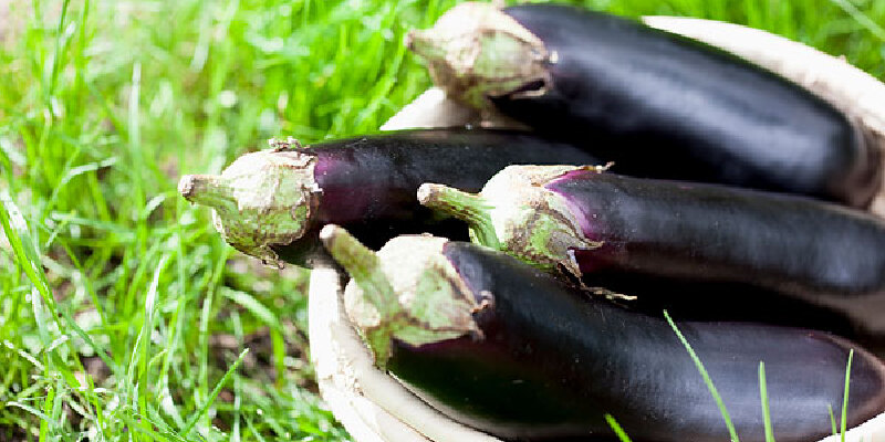 【2018年】成都七福鳝鱼火锅地址,电话,价格,营