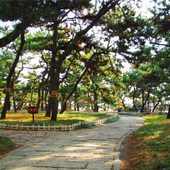 景点模块 
